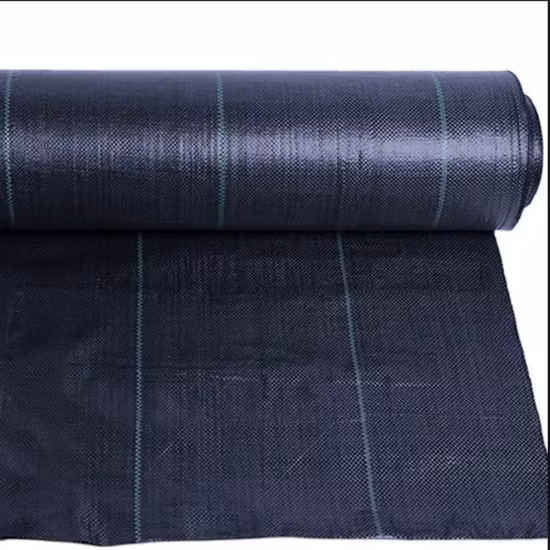 PP によって編まれたワイヤーで裏打ちされた生地のシルト フェンス